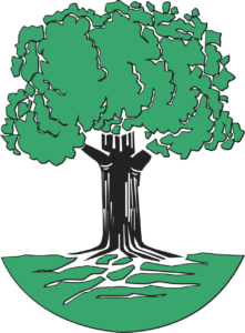 Green tree with deep roots representing regenerative leadership and organizational integrity.