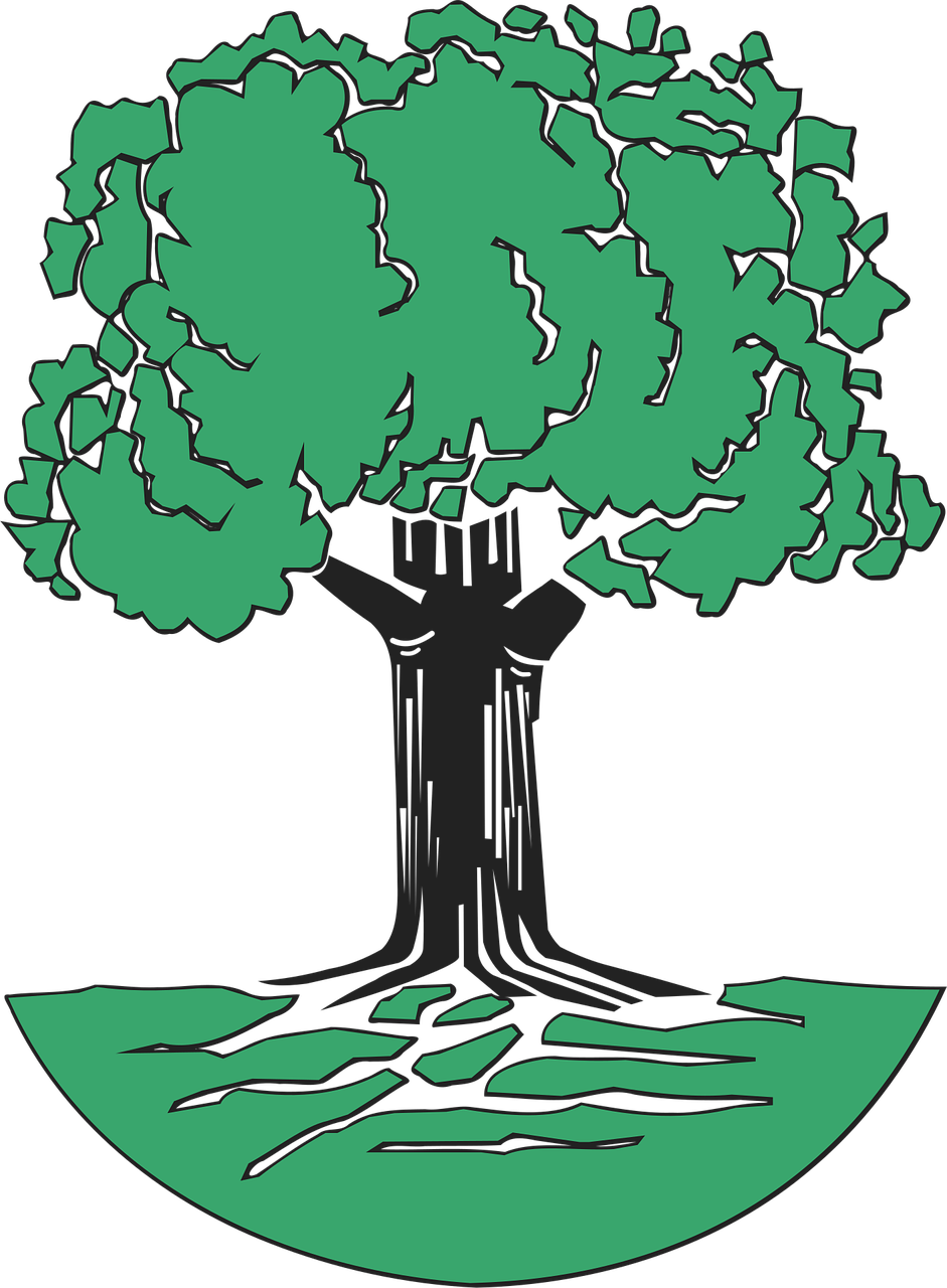 Tree with deep roots representing organizational resilience and leadership alignment